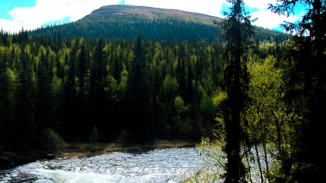 Fångåmons Fiskecamp